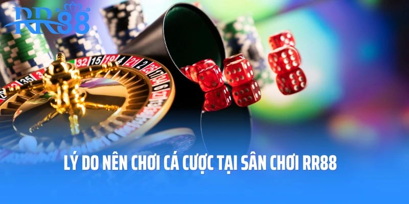 Lý do nên chơi cá cược tại sân chơi RR88